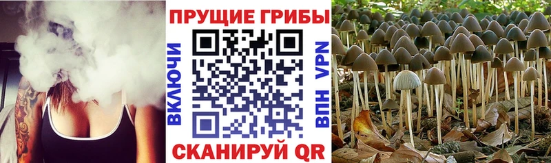 Галлюциногенные грибы Magic Shrooms  Чёрмоз 